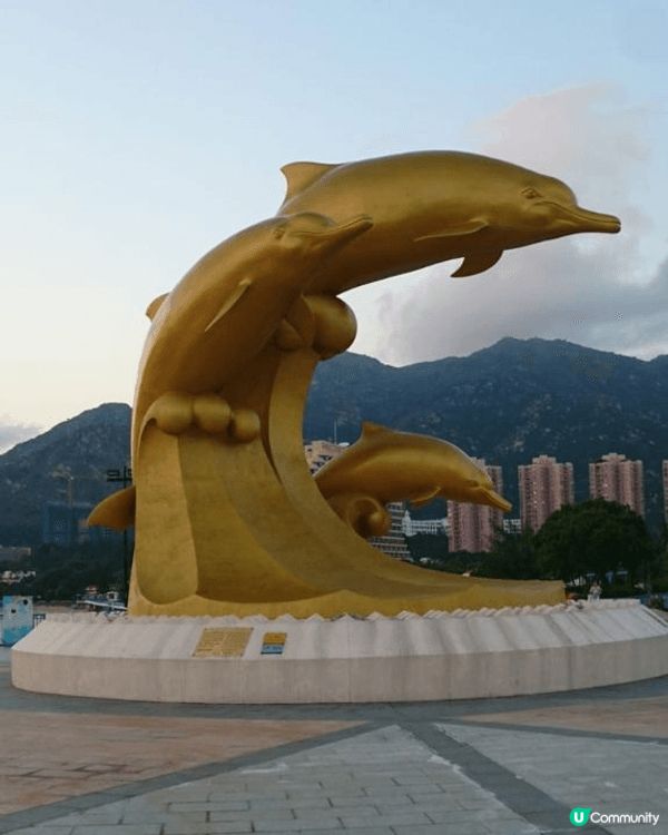 飛鵝山夜景，M+日落，黃金海岸海豚，風景一流，係繁忙後既日子...