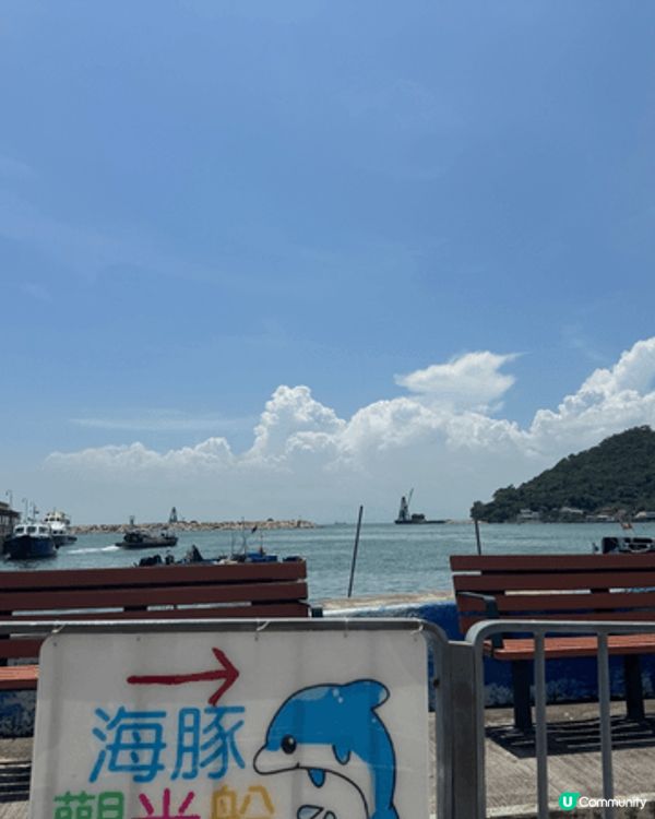 大澳睇海豚，長州國民路頂打卡一流，沙頭角邨睇特色公屋。
