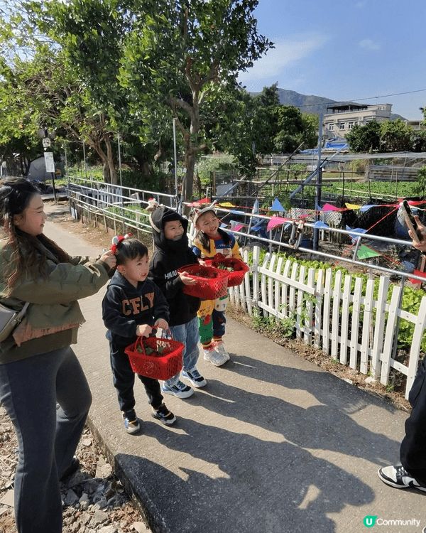 分別是朗屏士多啤梨葡萄園及沙田新城市廣場恐龍公園，士多啤梨即...