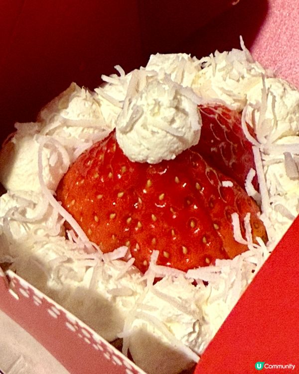 聖誕撻撻🍓！打卡一流又好食😋！