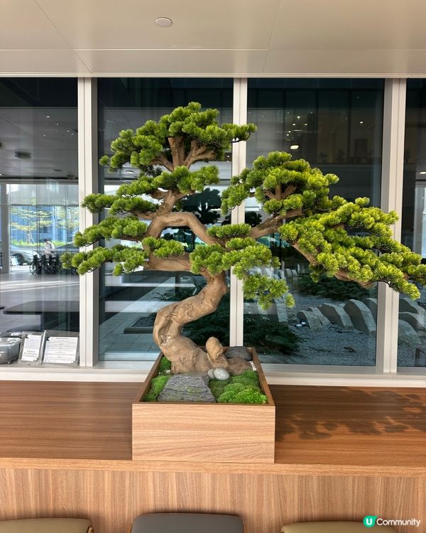 寧靜的Cafe舒緩我的不安