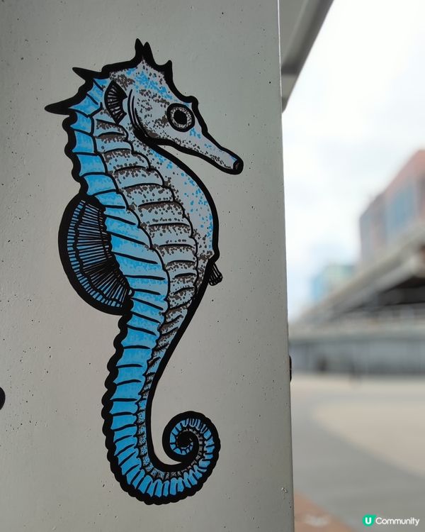 北角東岸板道開通！好多打卡位📸🌊😍！