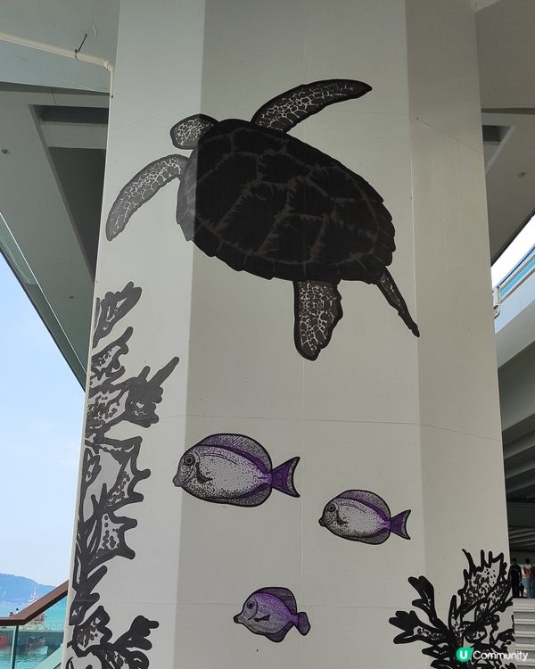 北角東岸板道開通！好多打卡位📸🌊😍！