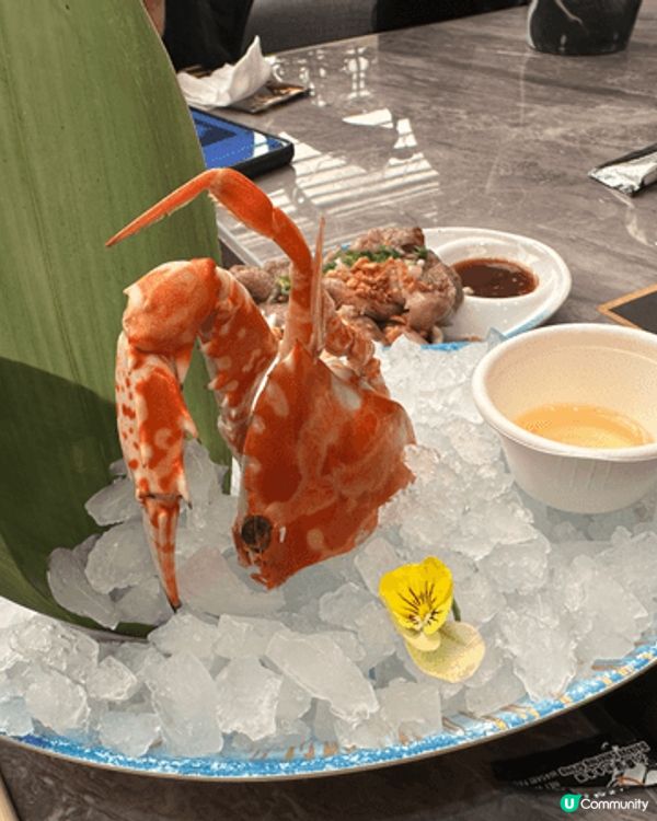 過節同家人去食荃灣極大瀛喜，好多野食，和牛正，龍蝦都ok，拖...