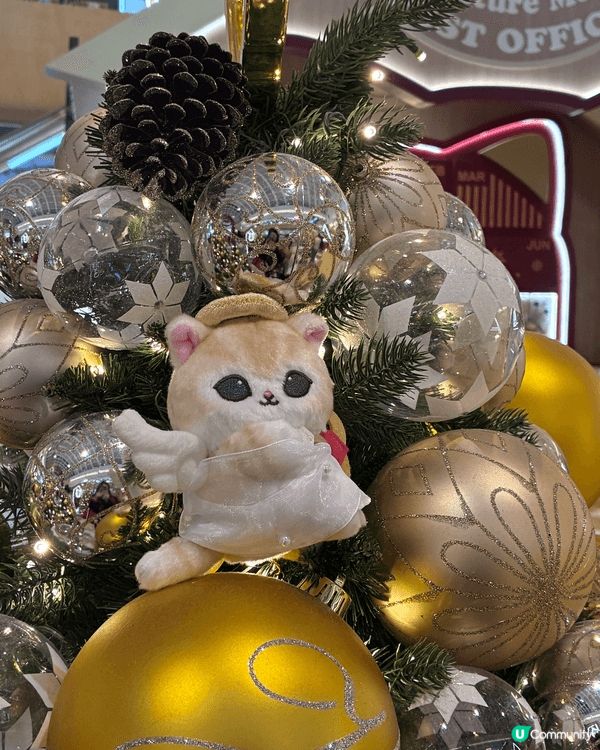 Mofusand 貓迷必到打卡地方， 變身聖誕老人既Mofu...