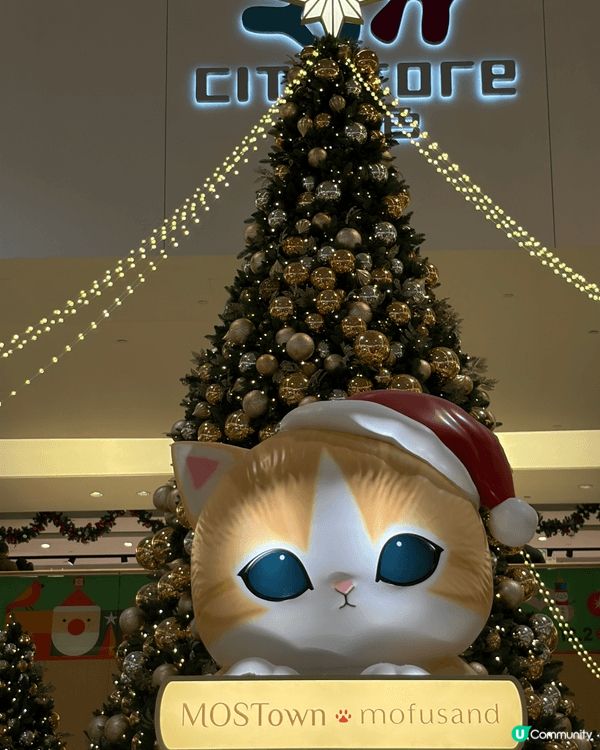 Mofusand 貓迷必到打卡地方， 變身聖誕老人既Mofu...