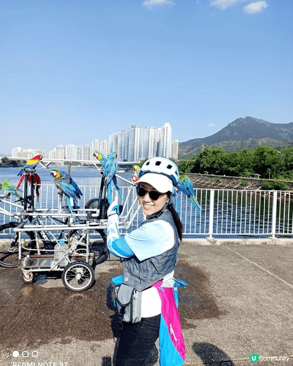 1，大埔吐露港。2，青馬大橋觀景點。3， 諾亞方舟。很適合一...