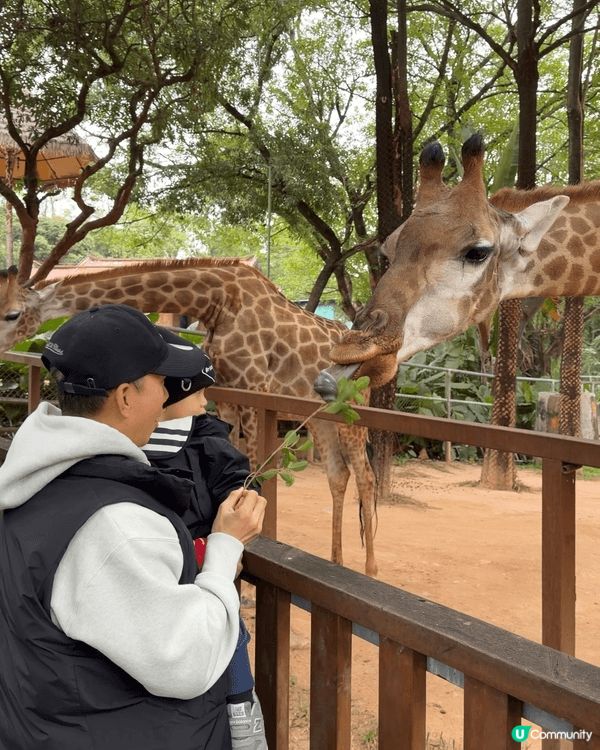 #深圳野生動物園
