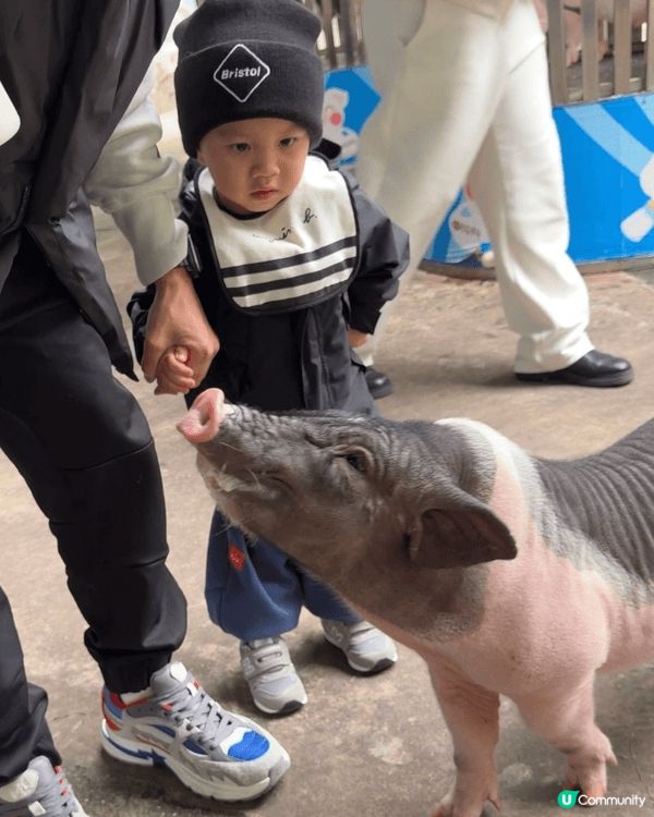 #深圳野生動物園