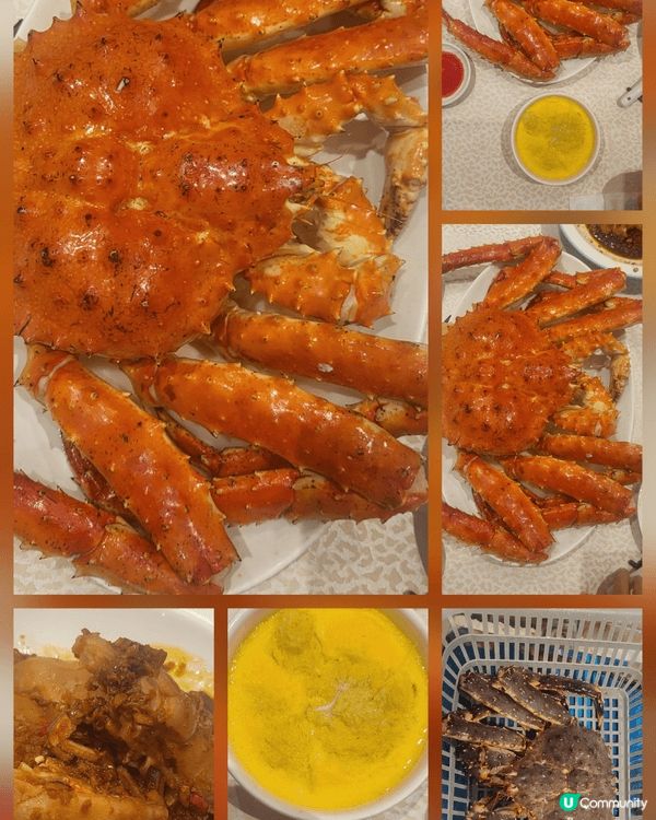 亞拉斯加長腳蟹🦀