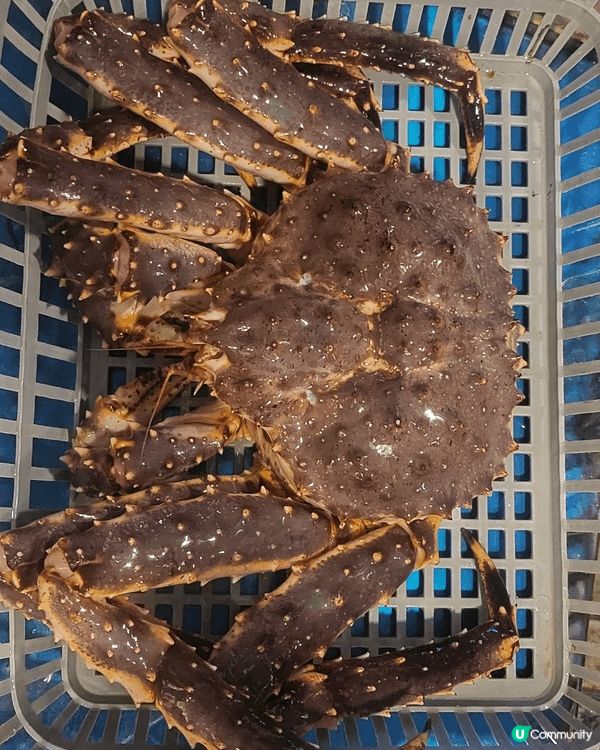 亞拉斯加長腳蟹🦀