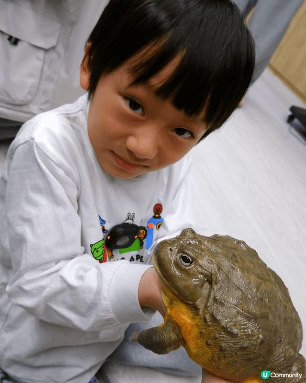 聖誕節去參觀左小小寵物園，可以接觸到唔同小動物。了解多左唔同...
