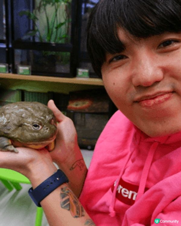 聖誕節去參觀左小小寵物園，可以接觸到唔同小動物。了解多左唔同...