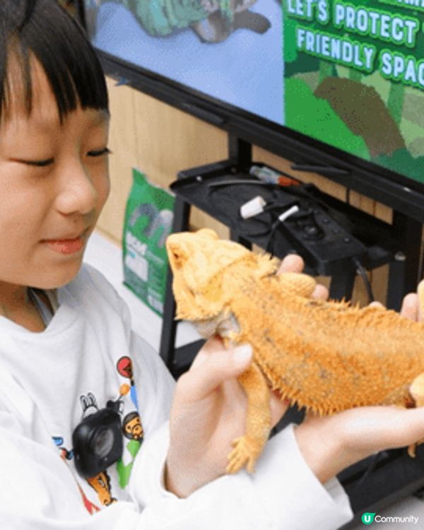 聖誕節去參觀左小小寵物園，可以接觸到唔同小動物。了解多左唔同...