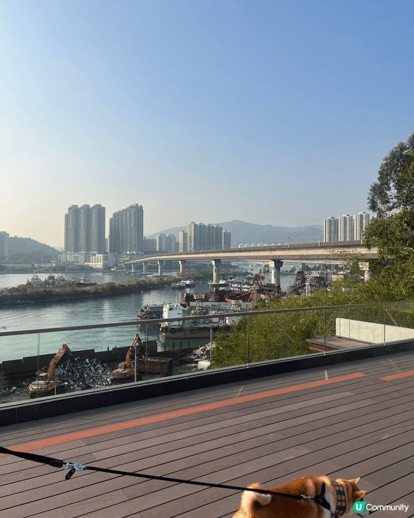 昨天去了新興建的葵涌公園玩，環境寬敞清幽，適合帶寵物或一家大...