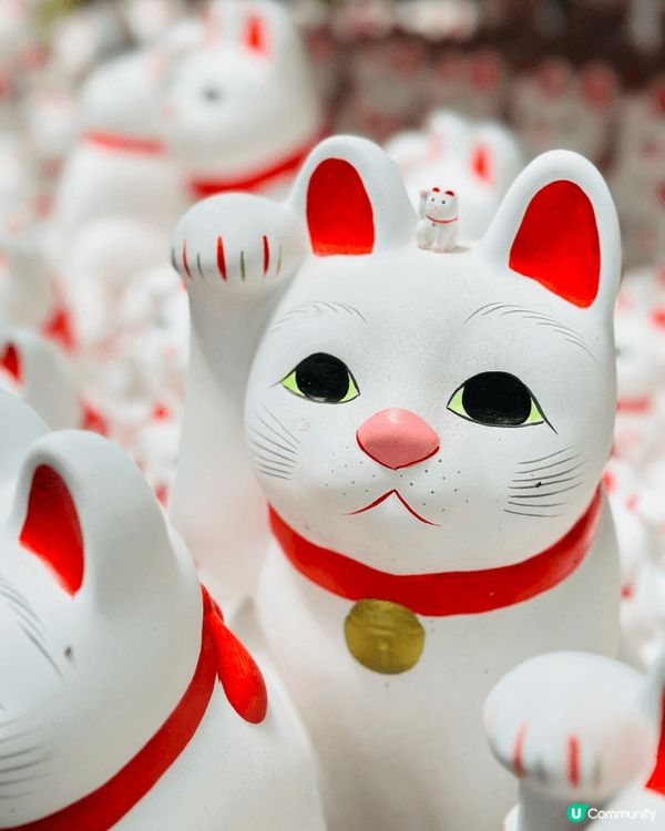東京隱藏景點｜豪德寺招財貓森林🐱貓奴一定要去打卡