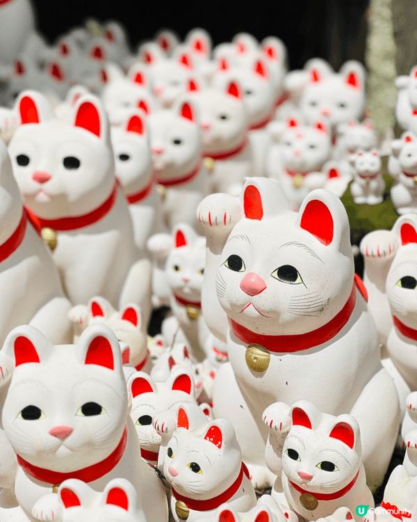 東京隱藏景點｜豪德寺招財貓森林🐱貓奴一定要去打卡