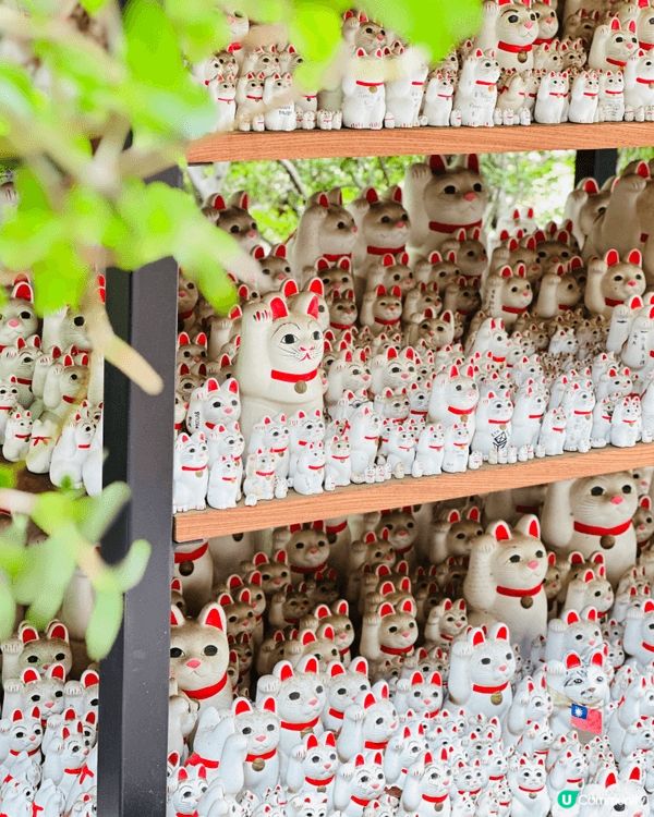 東京隱藏景點｜豪德寺招財貓森林🐱貓奴一定要去打卡