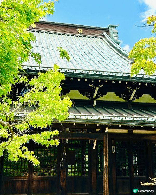 東京隱藏景點｜豪德寺招財貓森林🐱貓奴一定要去打卡