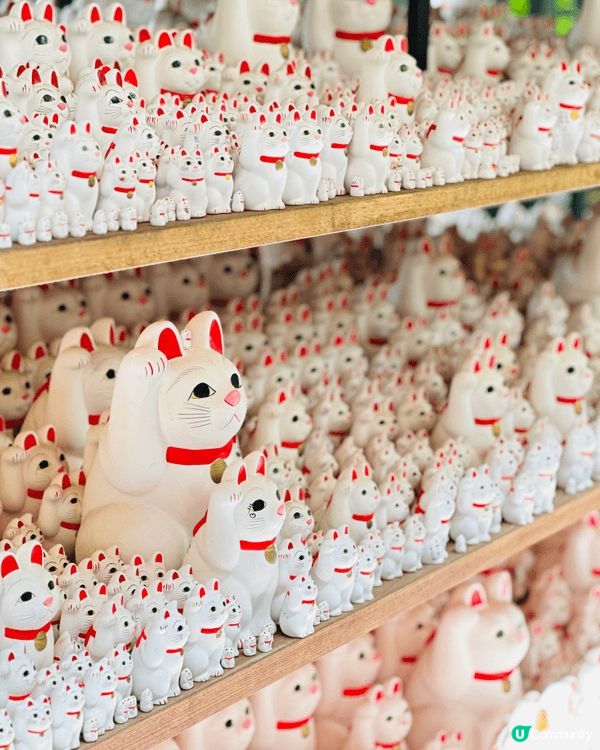東京隱藏景點｜豪德寺招財貓森林🐱貓奴一定要去打卡