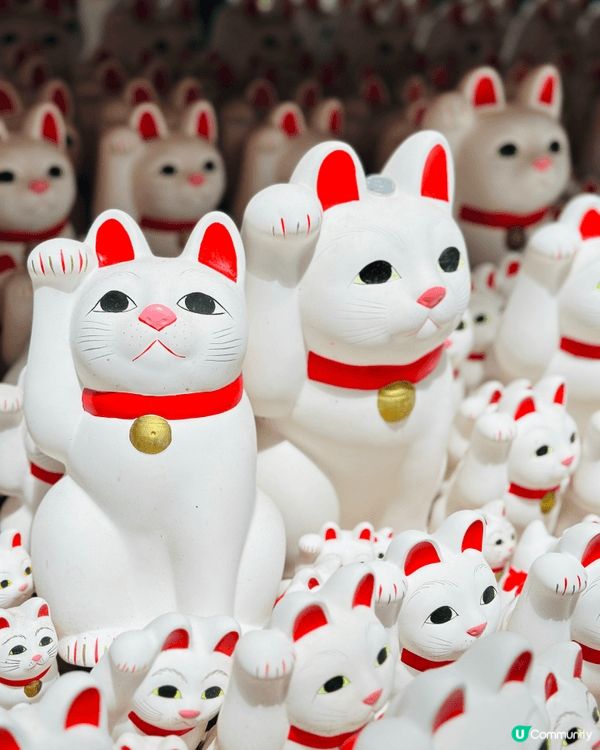 東京隱藏景點｜豪德寺招財貓森林🐱貓奴一定要去打卡