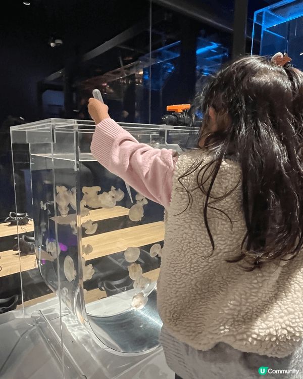 這是荃灣的「香港浩海立方探遊館」，在展館中除了可以看見不同種...
