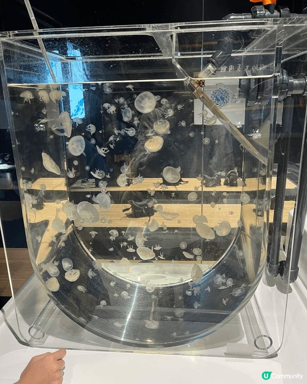 這是荃灣的「香港浩海立方探遊館」，在展館中除了可以看見不同種...