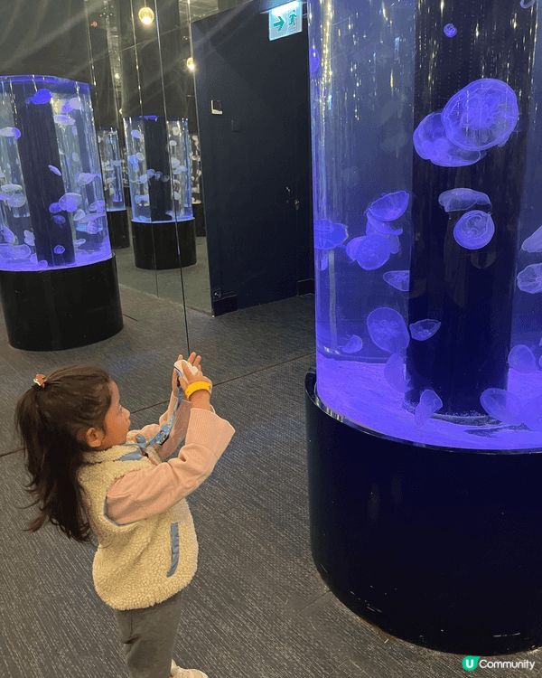 這是荃灣的「香港浩海立方探遊館」，在展館中除了可以看見不同種...