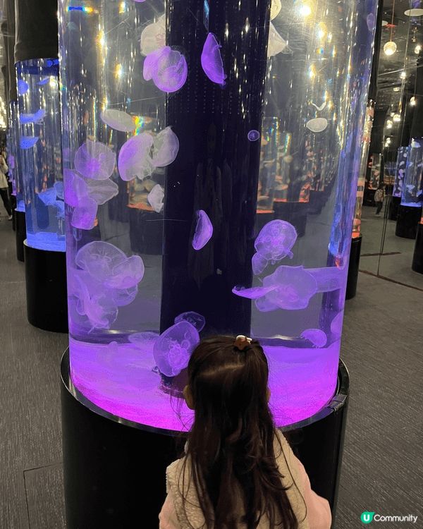 這是荃灣的「香港浩海立方探遊館」，在展館中除了可以看見不同種...
