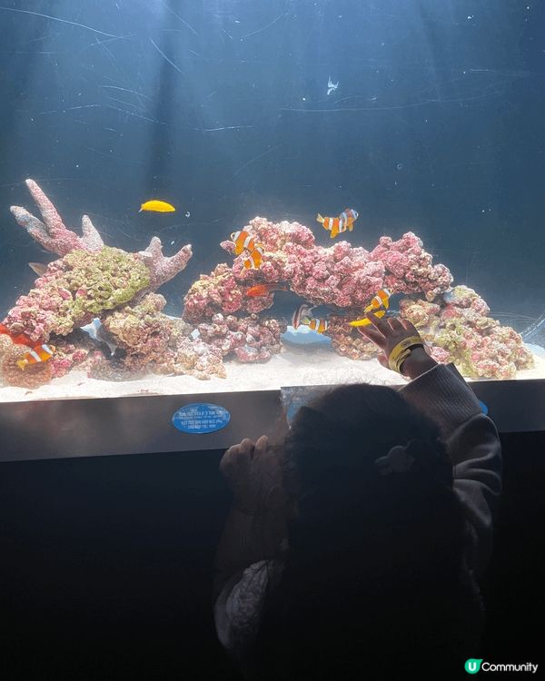 這是荃灣的「香港浩海立方探遊館」，在展館中除了可以看見不同種...