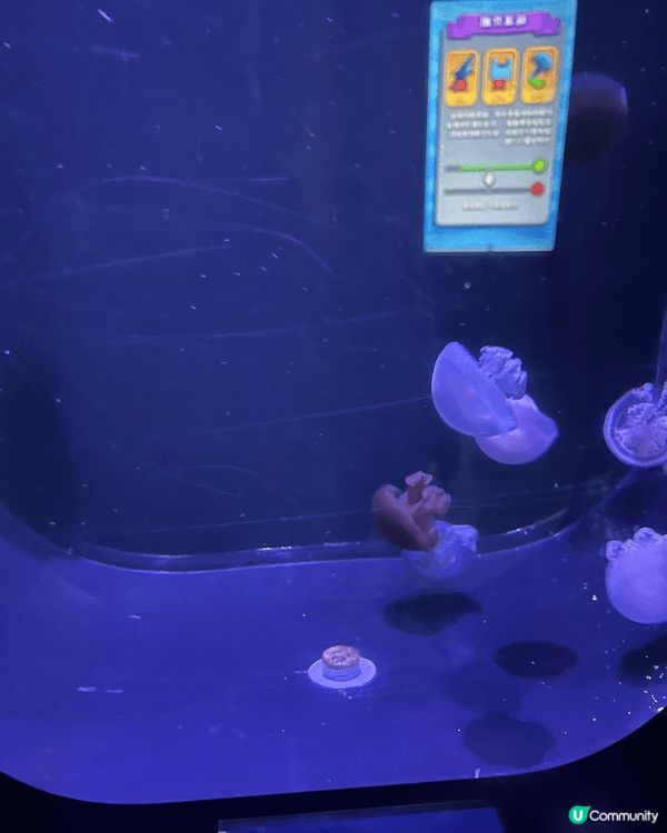 這是荃灣的「香港浩海立方探遊館」，在展館中除了可以看見不同種...