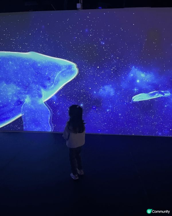 這是荃灣的「香港浩海立方探遊館」，在展館中除了可以看見不同種...