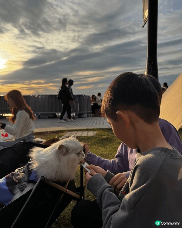 西九文化區 集合中西各國餐飲 可以在附件一帶野餐或打卡 絕對...