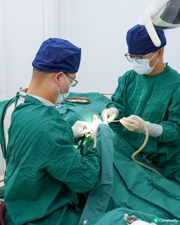 深圳牙醫好介紹👍🏻德貝美種牙🦷賴院長勁專業💯