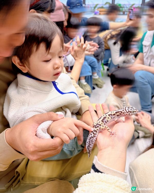 全港首個室內異寵體驗館❗️😱