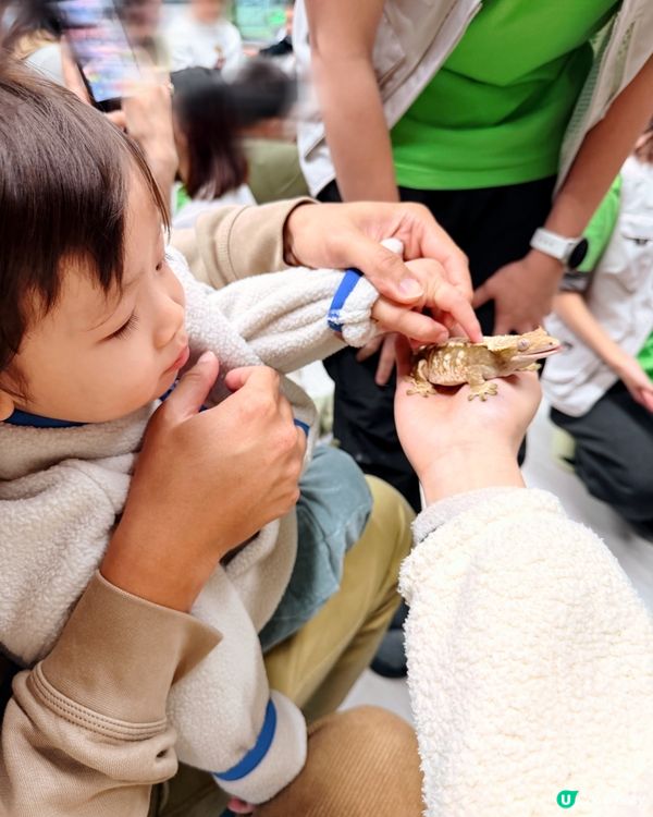 全港首個室內異寵體驗館❗️😱