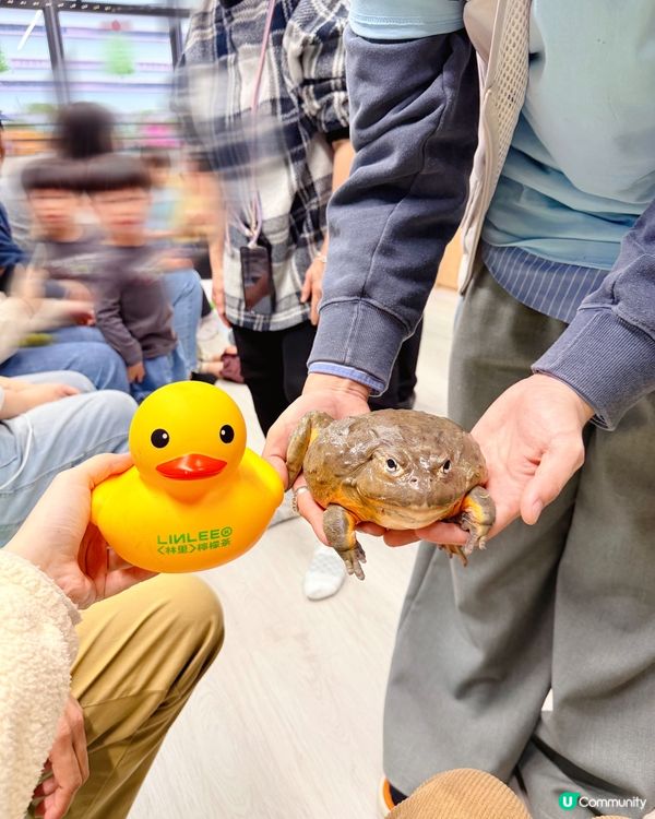 全港首個室內異寵體驗館❗️😱