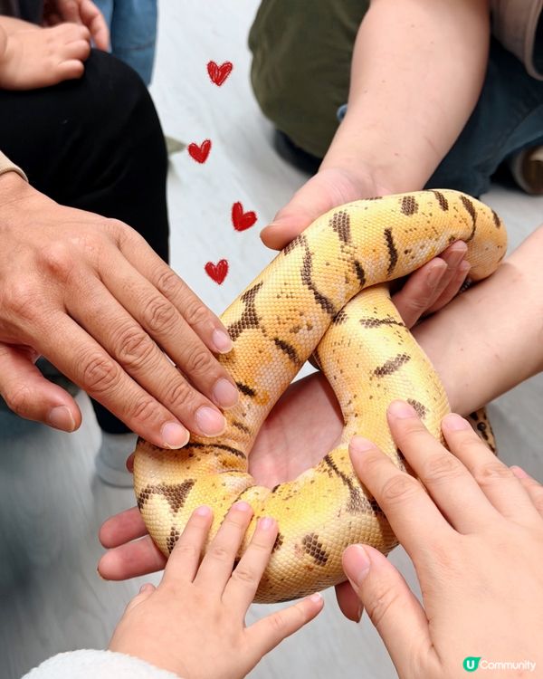 全港首個室內異寵體驗館❗️😱