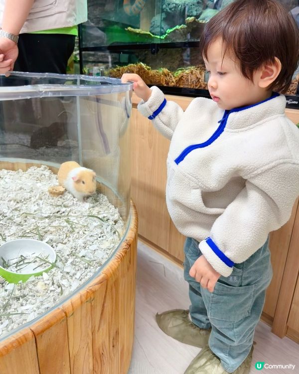 全港首個室內異寵體驗館❗️😱