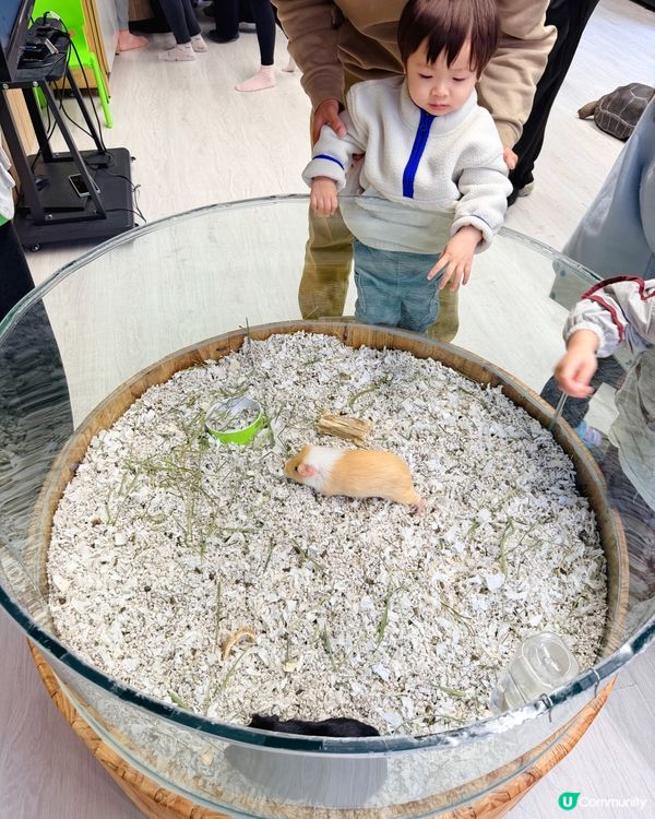 全港首個室內異寵體驗館❗️😱