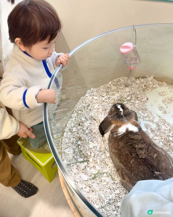 全港首個室內異寵體驗館❗️😱