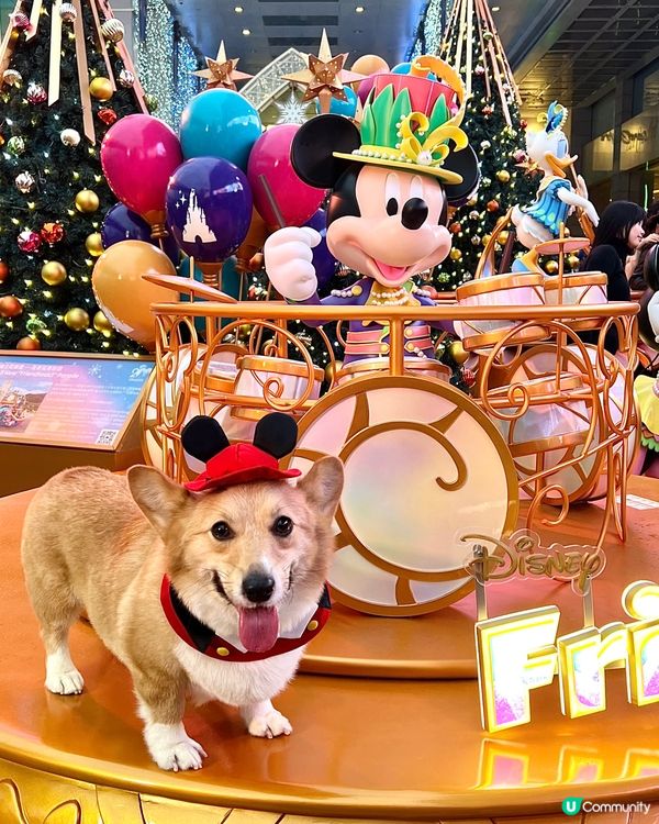 聖誕打卡好去處：海港城·1881