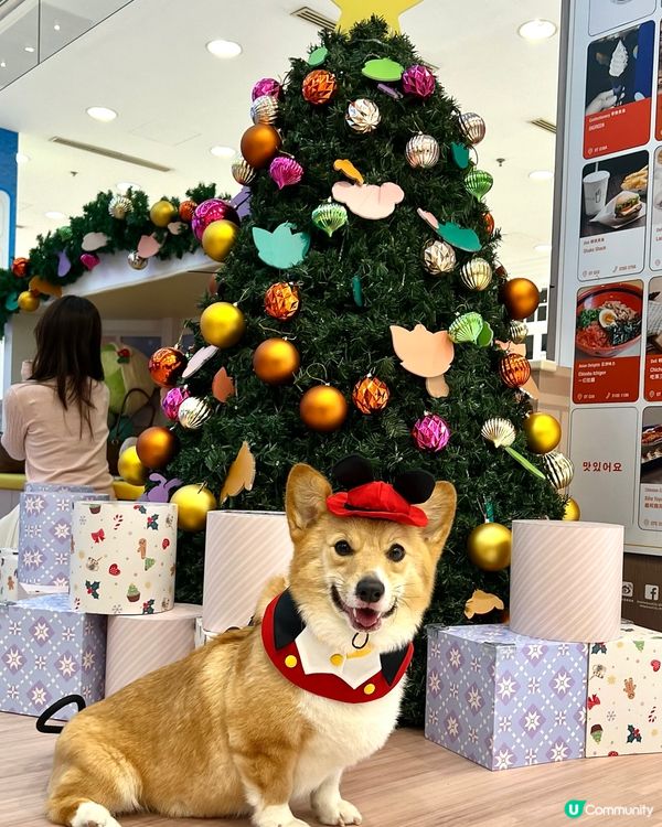 聖誕打卡好去處：海港城·1881