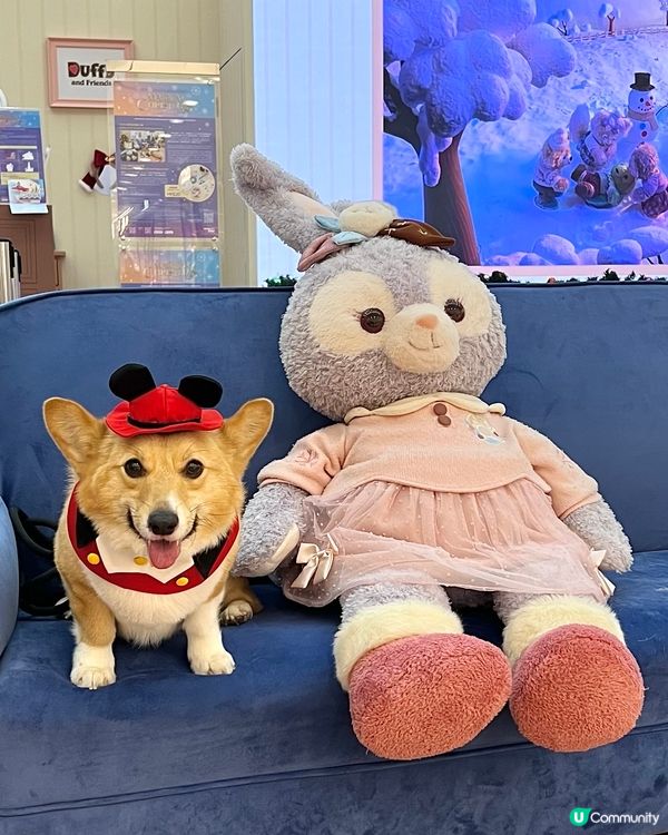 聖誕打卡好去處：海港城·1881