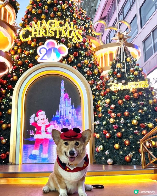 聖誕打卡好去處：海港城·1881