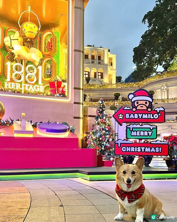 聖誕打卡好去處：海港城·1881