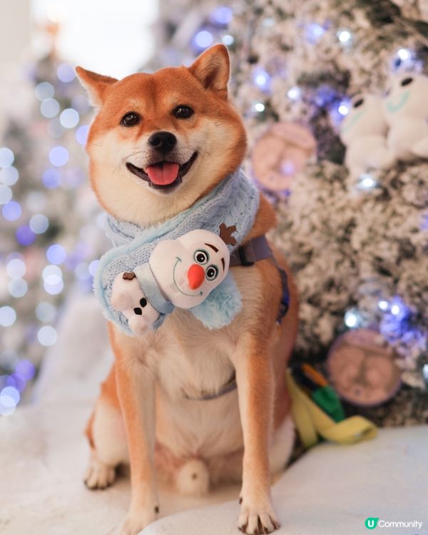 海港城×香港迪士尼「Magical Christmas」 