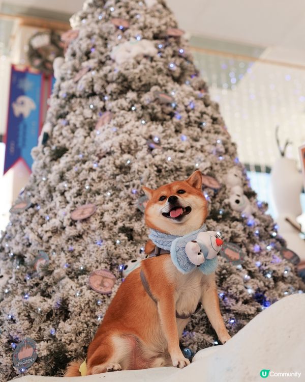 海港城×香港迪士尼「Magical Christmas」 