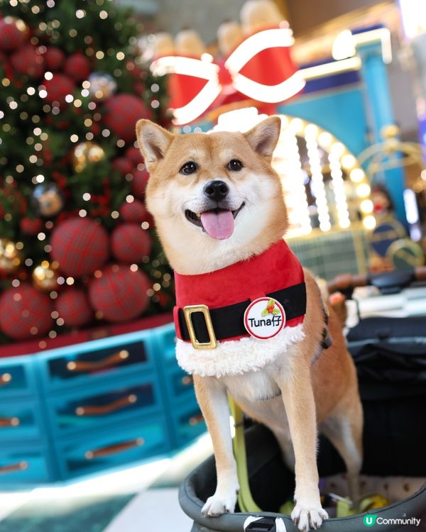 朗豪坊20週年 X 英國爆紅 Noodoll小毛薯