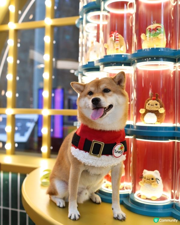 朗豪坊20週年 X 英國爆紅 Noodoll小毛薯